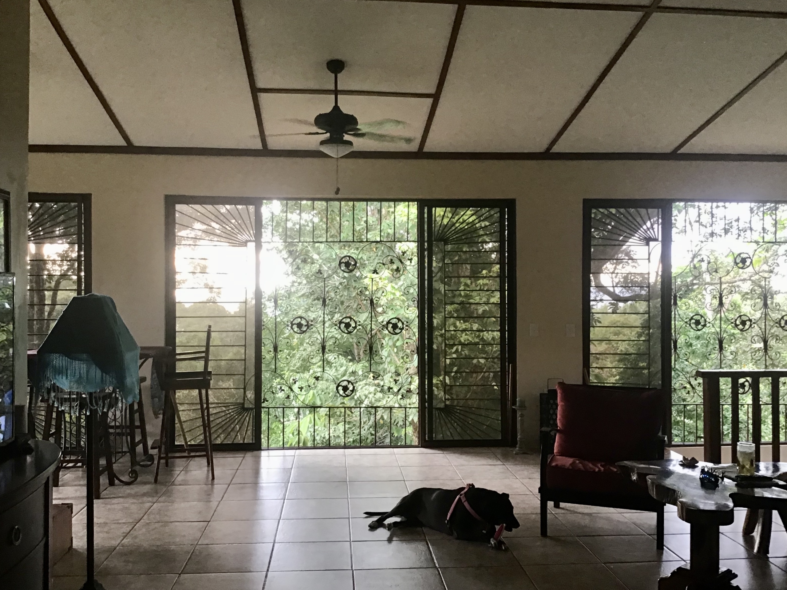 Casa-Sunset-Pilon-Living-Room-Dog
