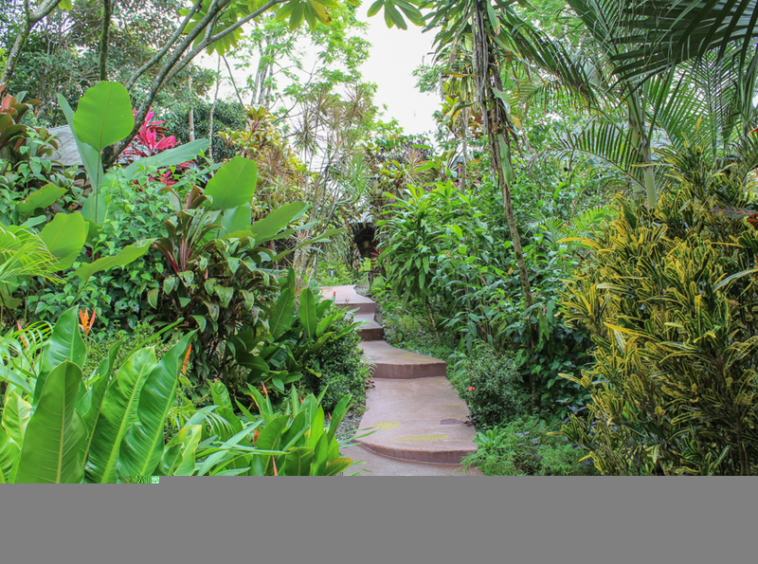 Lucrative-Bed-and-Breakfast-in-Ojochal