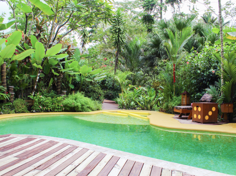 Lucrative-Bed-and-Breakfast-in-Ojochal