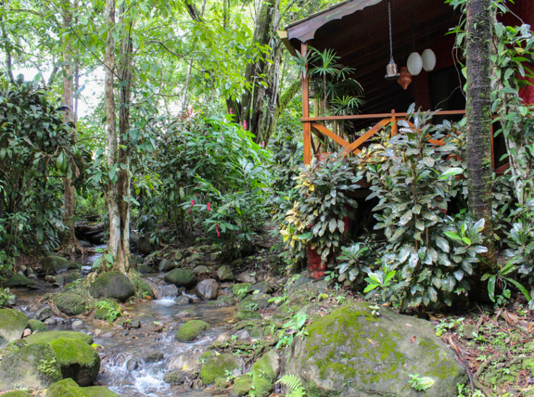 Lucrative-Bed-and-Breakfast-in-Ojochal