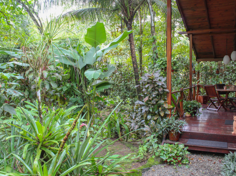 Lucrative-Bed-and-Breakfast-in-Ojochal