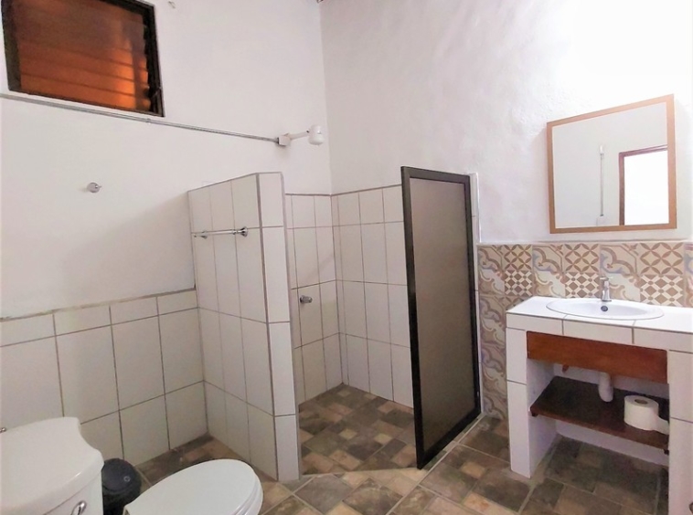 boutique-hotel-manuel-antonio-costa-rica-real-estate