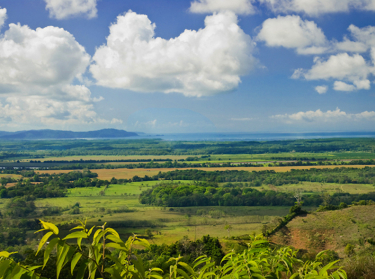 Costa Rica Wellness Center Development Opportunity
