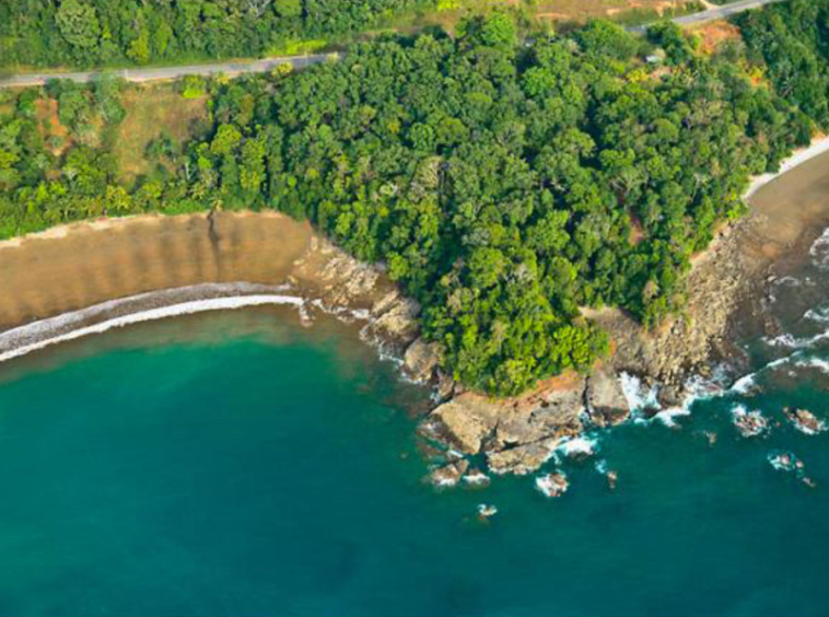 Costa Rica Wellness Center Development Opportunity