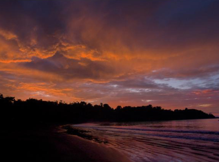 Costa Rica Wellness Center Development Opportunity