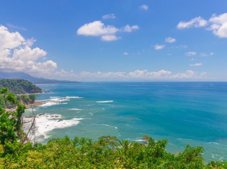 dominical-oceanview-bed-&-breakfast-for-sale