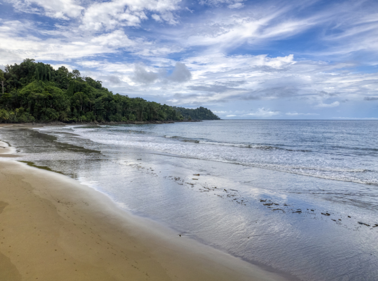 drakes-bay-eco-retreat-land-for-sale