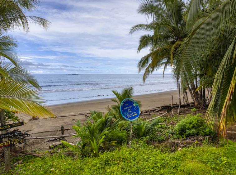 drakes-bay-eco-retreat-land-for-sale