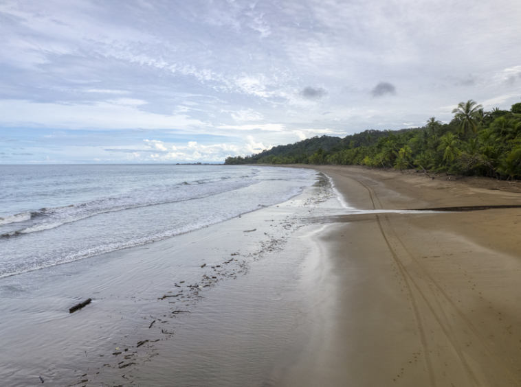 drakes-bay-eco-retreat-land-for-sale