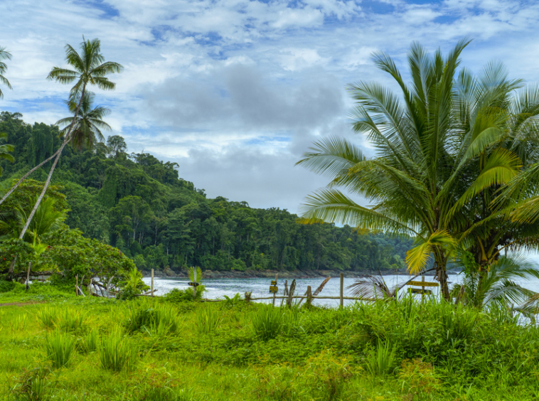 drakes-bay-eco-retreat-land-for-sale