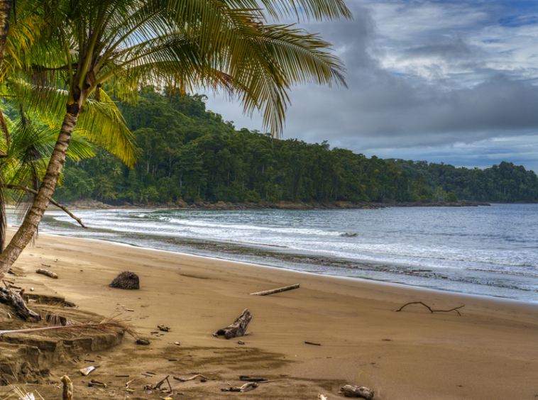drakes-bay-eco-retreat-land-for-sale