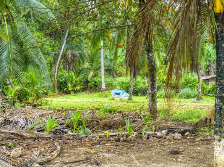 drakes-bay-eco-retreat-land-for-sale