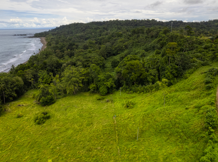 drakes-bay-eco-retreat-land-for-sale-costa-rica