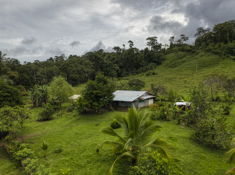 drakes-bay-eco-retreat-land-for-sale-costa-rica