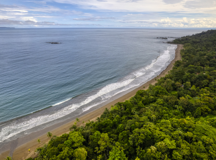 drakes-bay-eco-retreat-land-for-sale