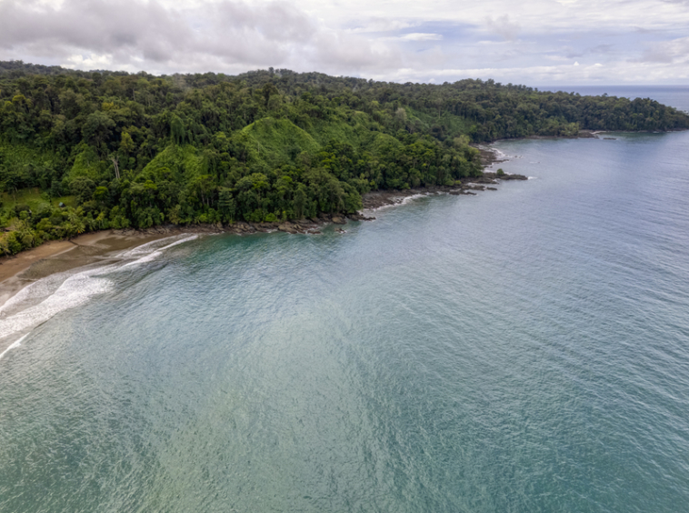 drakes-bay-eco-retreat-land-for-sale