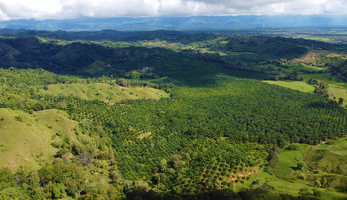 finca-rio-coto-gofito