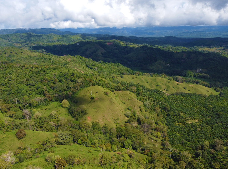 finca-rio-coto-gofito