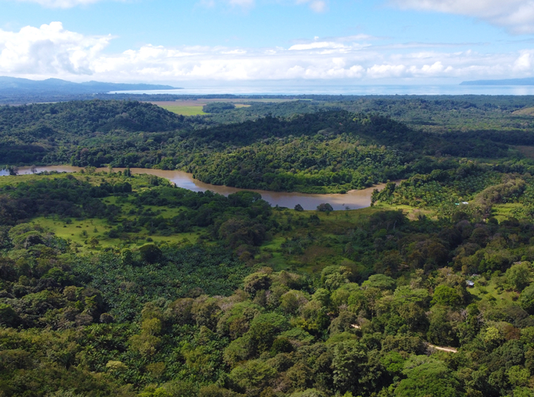 finca-rio-coto-gofito