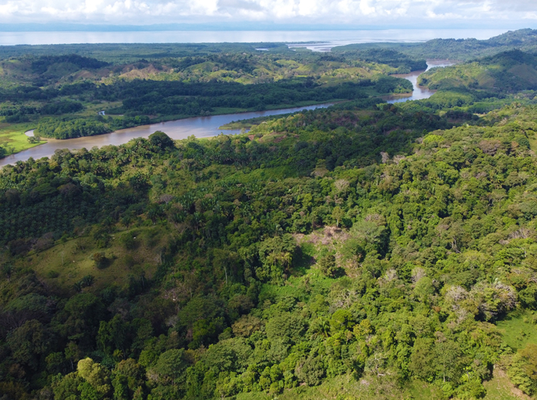 finca-rio-coto-gofito