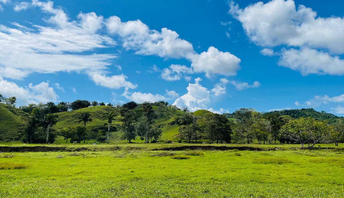 finca-rio-coto-gofito