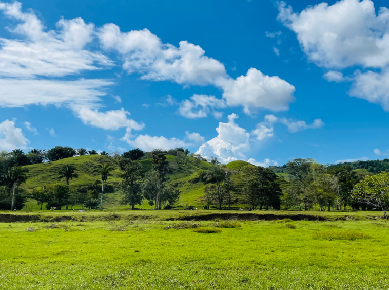finca-rio-coto-gofito
