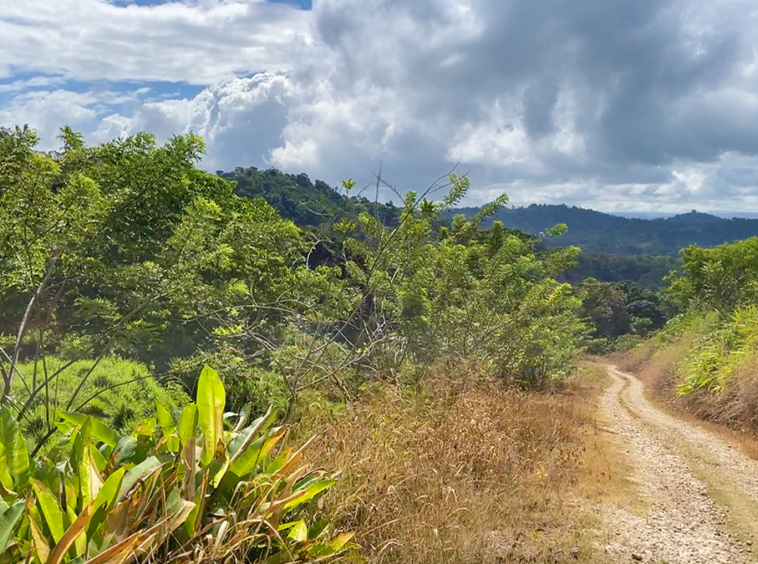 finca-rio-coto-golfito-costa-rica
