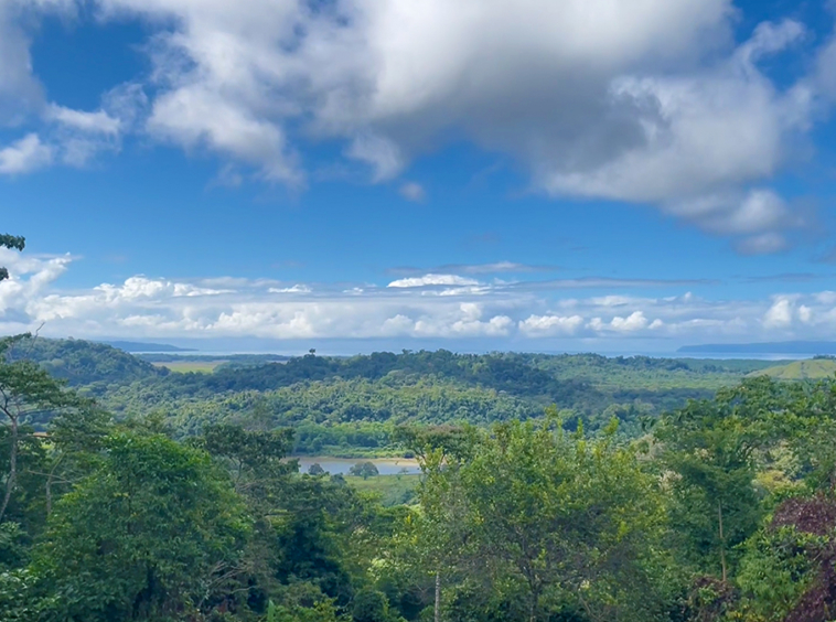 finca-rio-coto-golfito-costa-rica