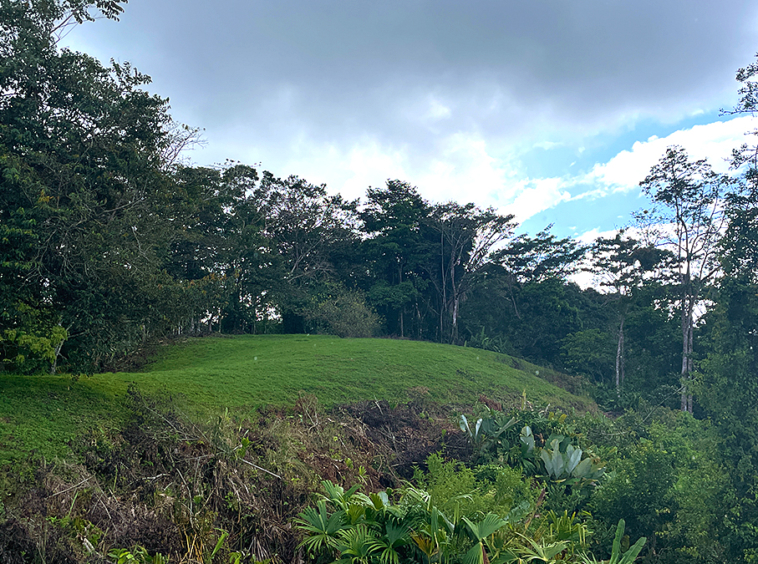 finca-rio-coto-gofito