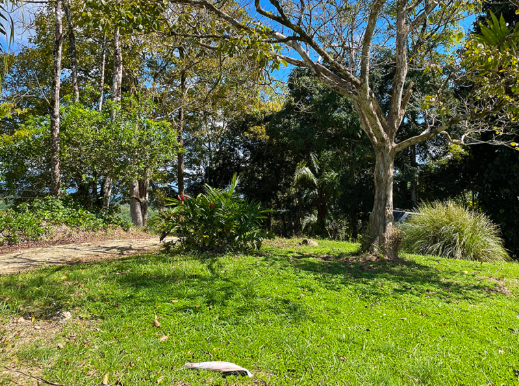 finca-rio-coto-gofito