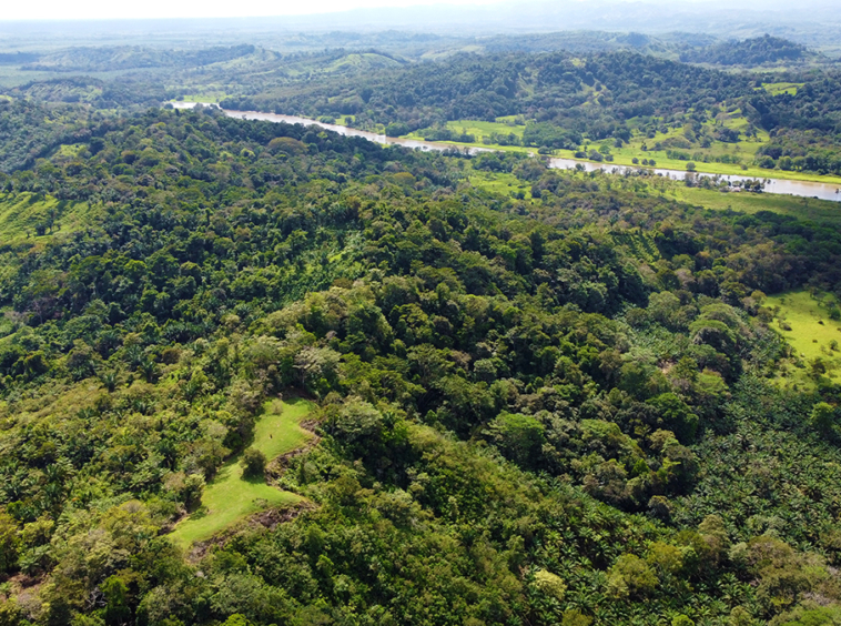 finca-rio-coto-gofito