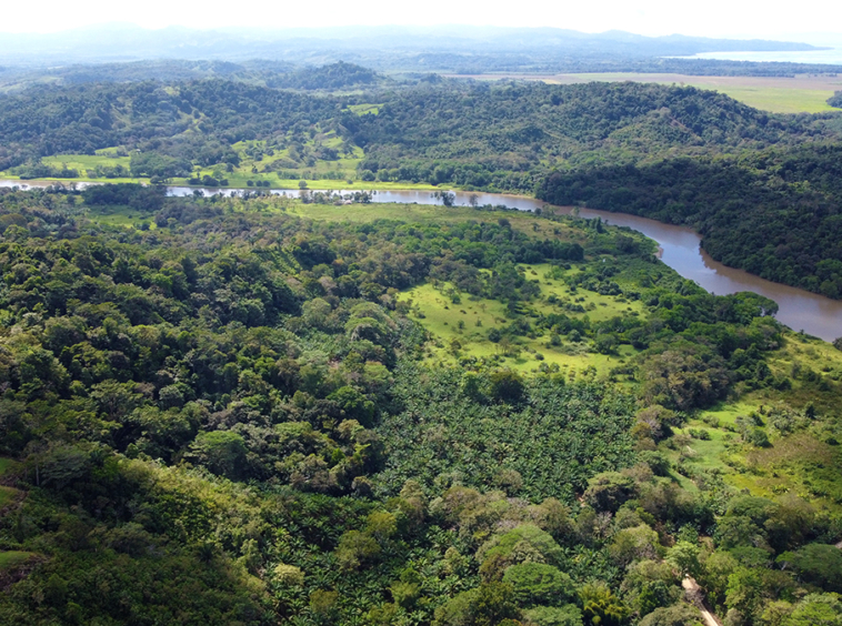 finca-rio-coto-gofito