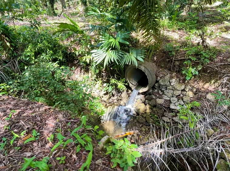 finca-rio-coto-golfito-costa-rica