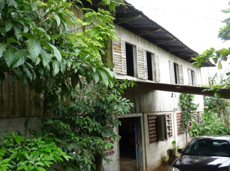 golfito-income-producing-palm-farm