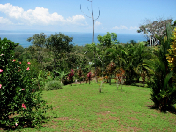 la-maravilla-de-pavon