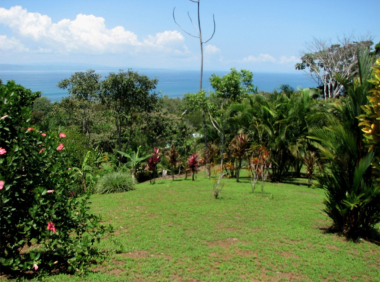 la-maravilla-de-pavon