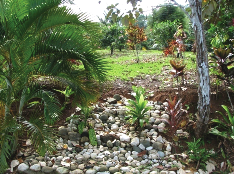 la-maravilla-de-pavon
