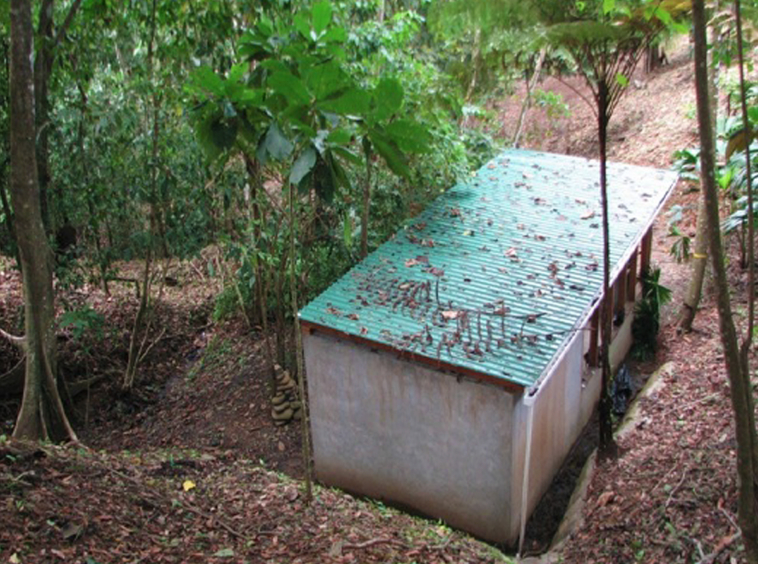 la-maravilla-de-pavon