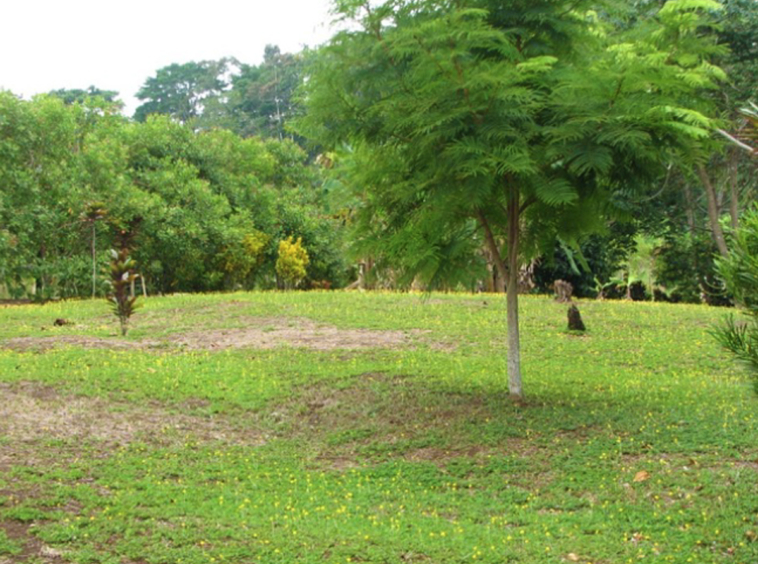 la-maravilla-de-pavon