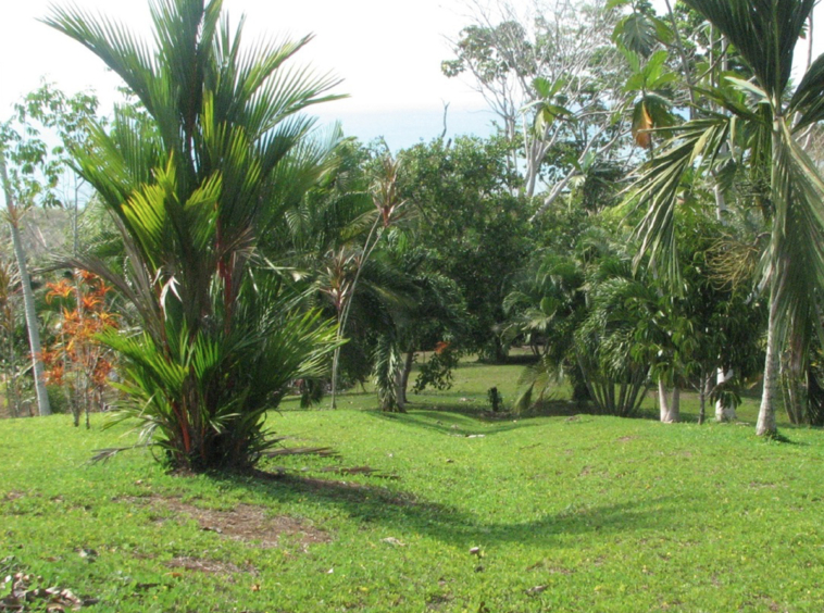 la-maravilla-de-pavon