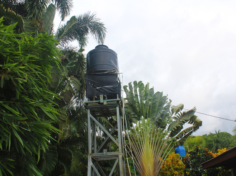 misiones-de-pavones-costa-rica
