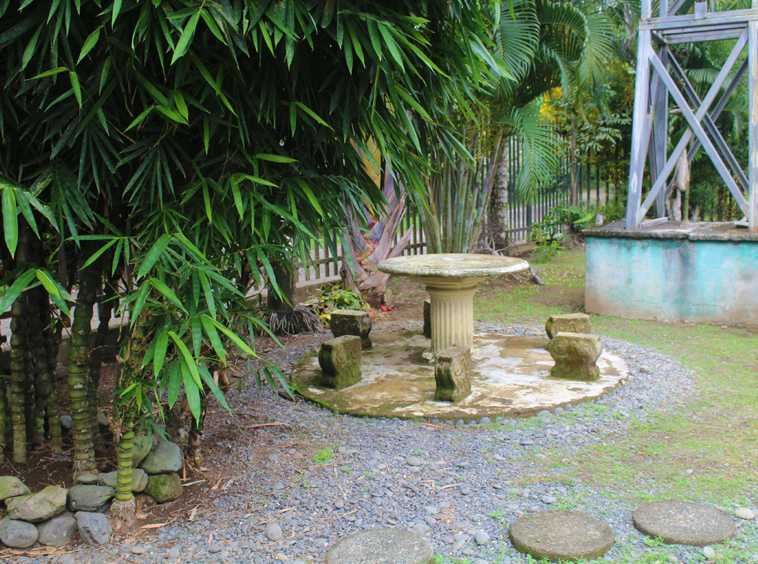 misiones-de-pavones-costa-rica