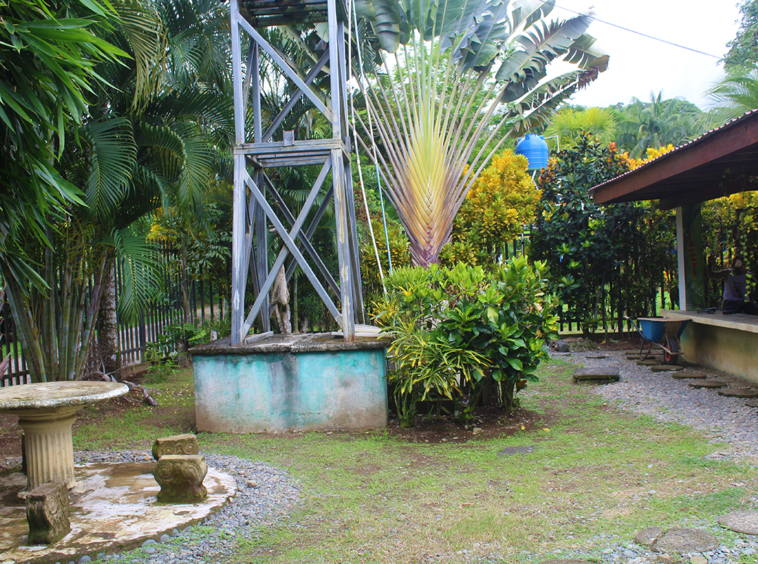 misiones-de-pavones-costa-rica
