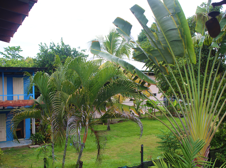 pavones-surf-hostel-costa-rica-for-sale