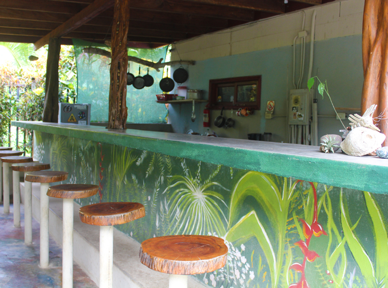 misiones-de-pavones-costa-rica