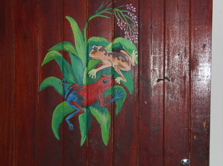 misiones-de-pavones-costa-rica