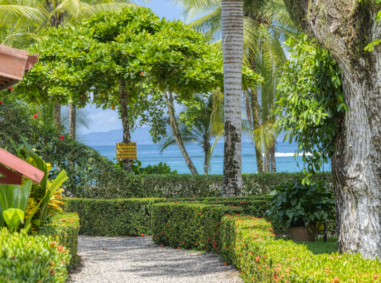 sustainable-beach-resort-osa-peninsula