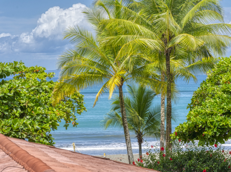 sustainable-beach-resort-osa-peninsula