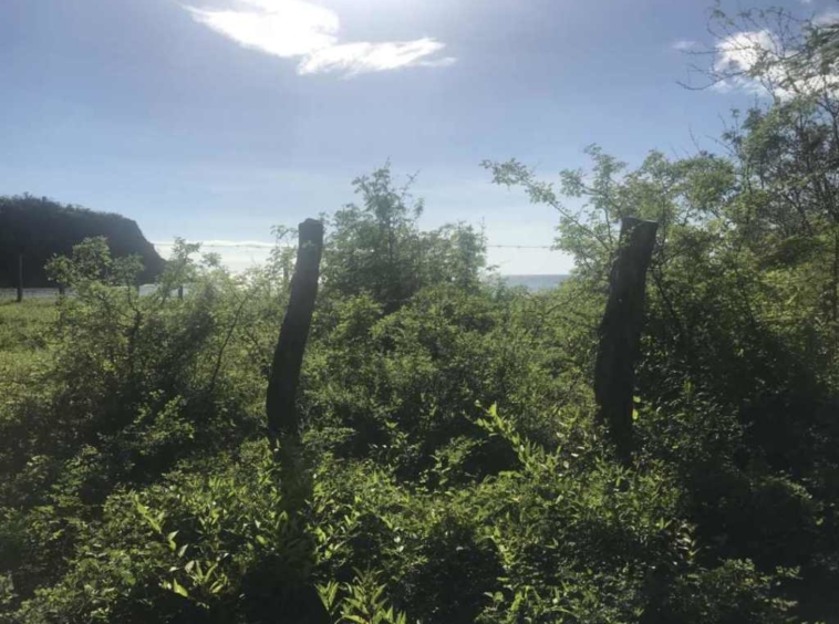 yoga-retreat-for-rent-nicaragua-1