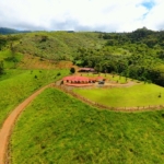 income-producing-260-acre-farm-costa-rica
